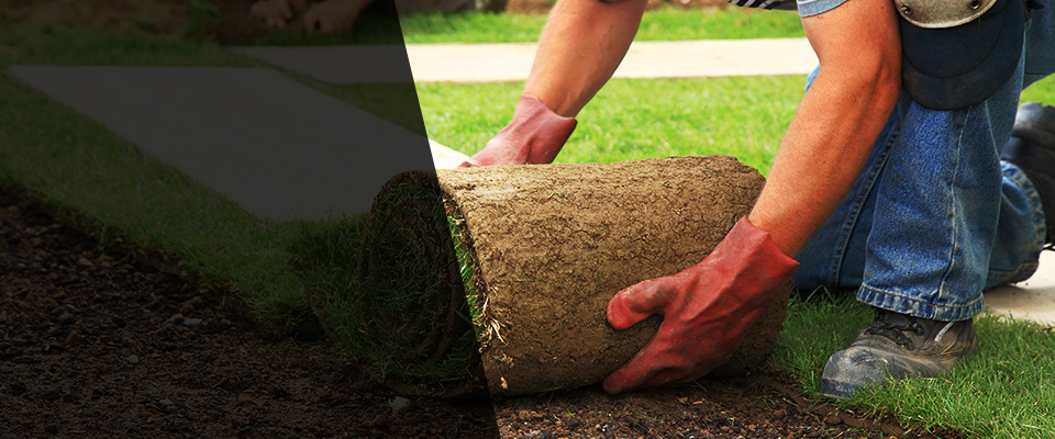 Winooski Landscapers